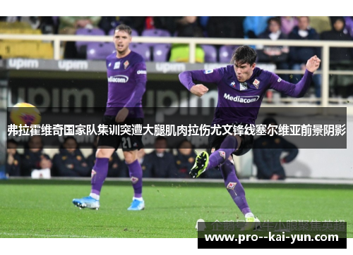 弗拉霍维奇国家队集训突遭大腿肌肉拉伤尤文锋线塞尔维亚前景阴影 弗拉霍维奇国家队集训突遭大腿肌肉拉伤尤文锋线塞尔维亚前景阴影