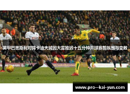 英甲巴恩斯利对阵卡迪夫城因大雾推迟十五分钟开球赛前氛围与变数